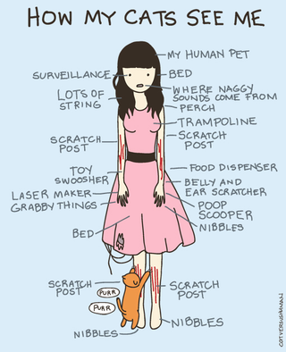Illustration for article titled The Many Ways Your Cat Looks At You